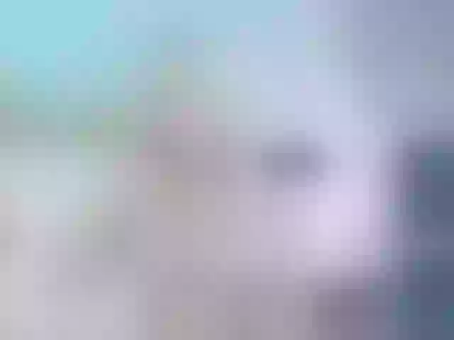 Live sex webcam photo for Amoramias #290336607