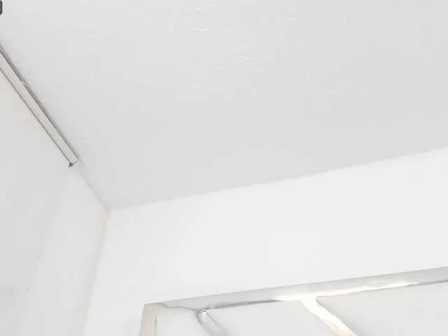 Live sex webcam photo for AmyKord #277544961