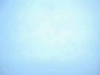 Live sex webcam photo for AmyParkerr #240026932