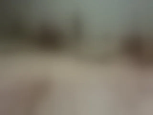 Live sex webcam photo for AmyWonderX #294076794