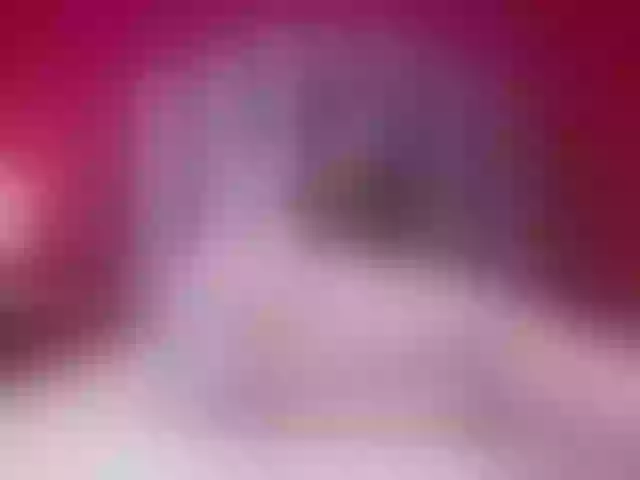 Live sex webcam photo for AmyWoods1 #273601977