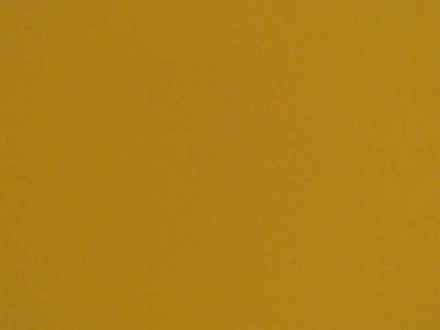 Live sex webcam photo for Amyhot #290372855