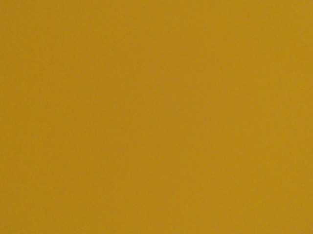 Live sex webcam photo for Amyhot #290379805