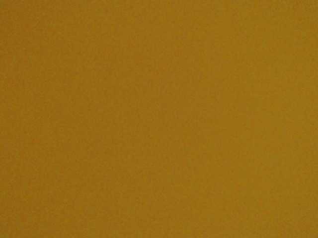 Live sex webcam photo for Amyhot #290412892