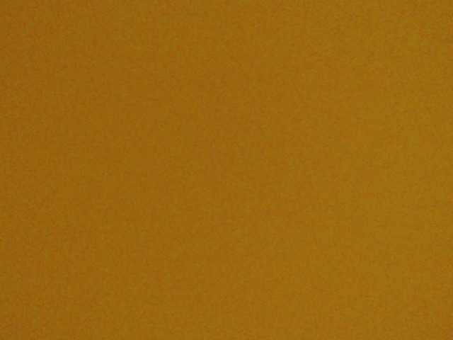 Live sex webcam photo for Amyhot #290444490