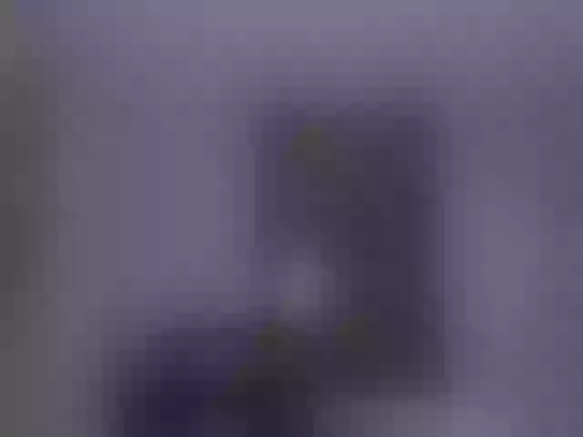 Live sex webcam photo for AnaisNin1 #291997991