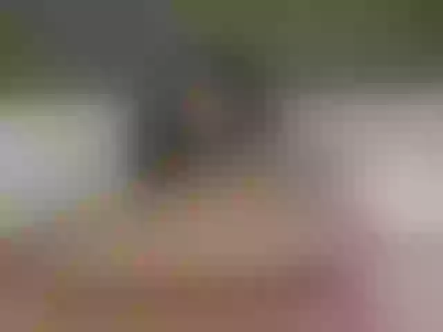 Live sex webcam photo for Anaisbeily #290873150