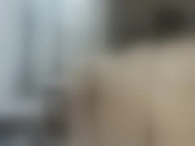 Live sex webcam photo for Anal-Queen #275960975