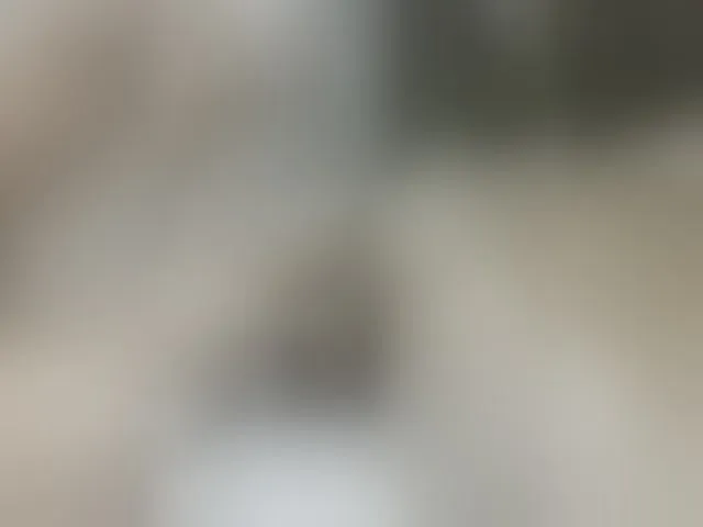Live sex webcam photo for Anal-Queen #276271216