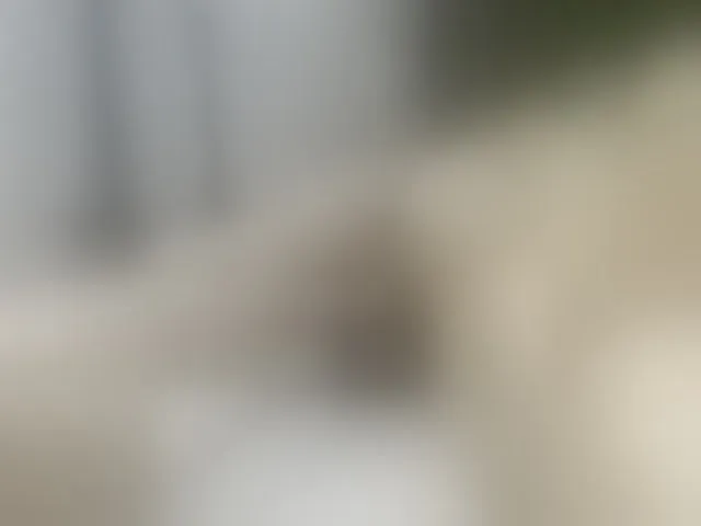 Live sex webcam photo for Anal-Queen #276279457