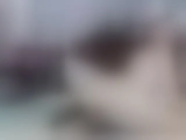 Live sex webcam photo for AnalQueenKa #293236974