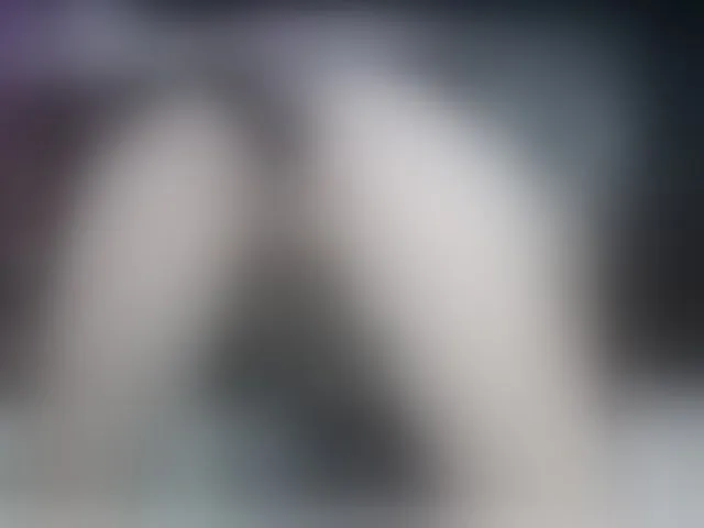 Live sex webcam photo for AnalQueenKa #293342376