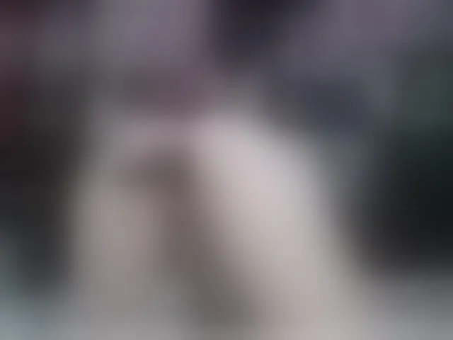 Live sex webcam photo for AnalQueenKa #293500092