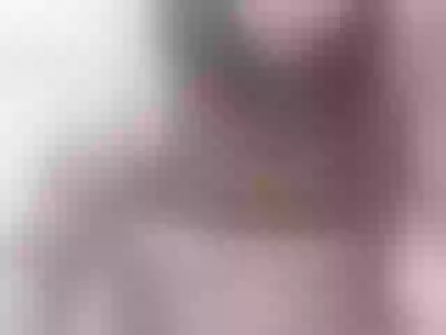 Live sex webcam photo for Analove-68 #290850871