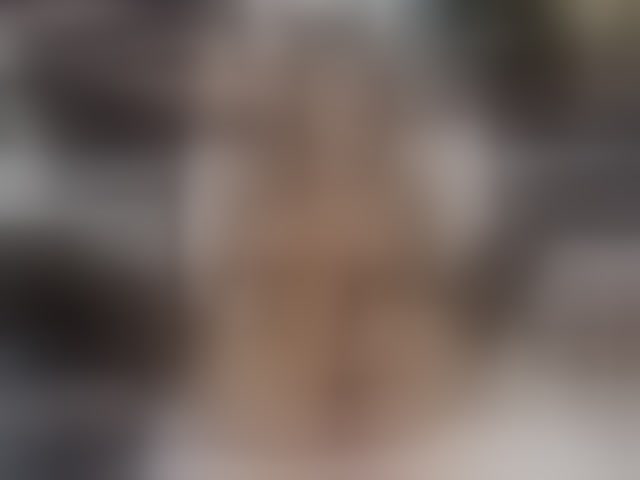 Live sex webcam photo for AnastasiasCharms #293562990