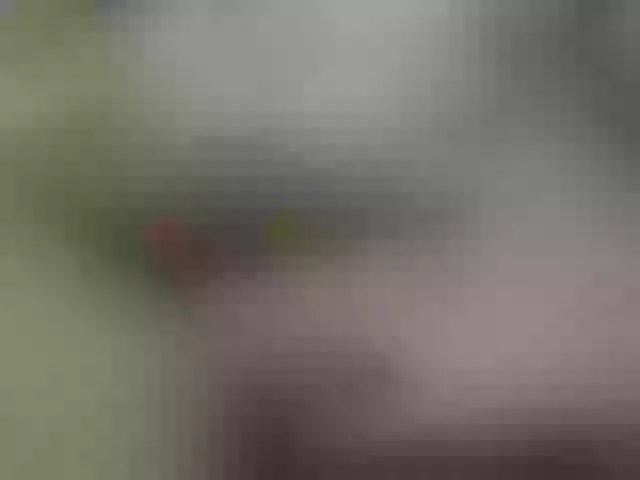 Live sex webcam photo for Anatolii999 #290611454