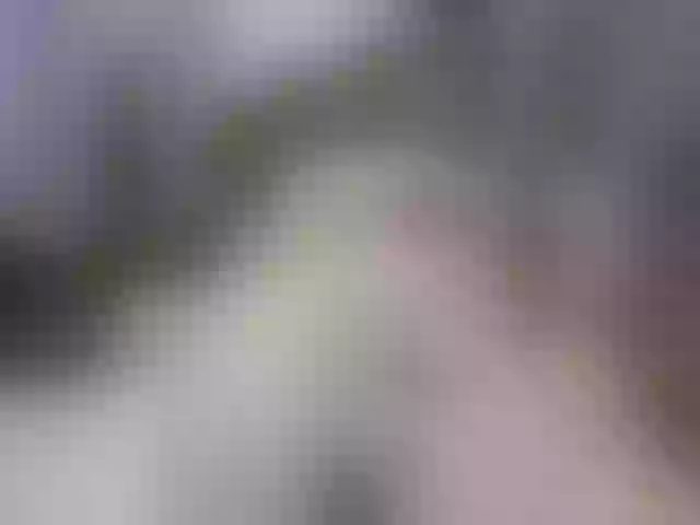 Live sex webcam photo for Anatolii999 #290928163