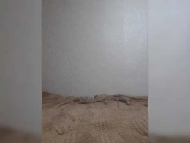 Live sex webcam photo for Anchelikaaa #291039013