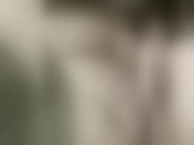 Live sex webcam photo for Anchelikaaa #292986239