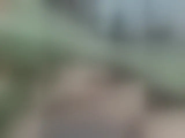 Live sex webcam photo for AndMokas #292587028