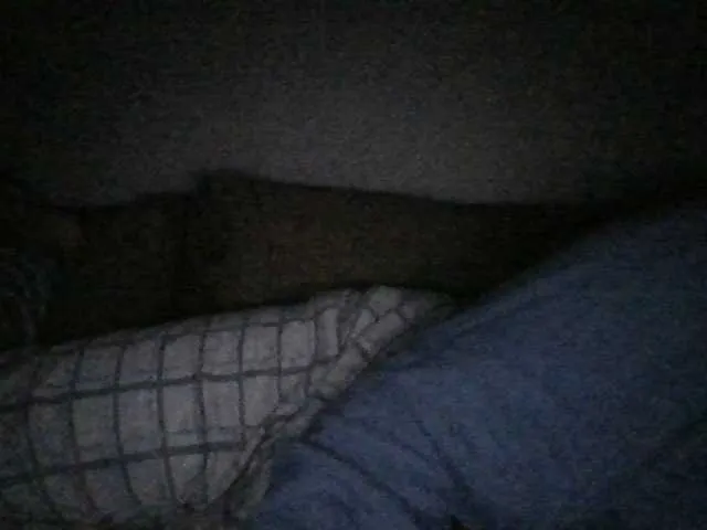 Live sex webcam photo for Andellus #277532700