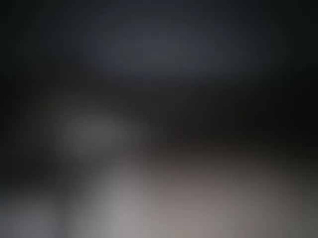 Live sex webcam photo for Andellus #289913602