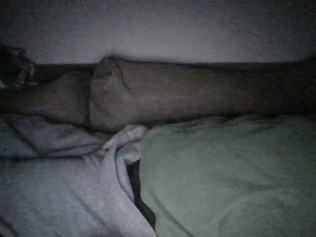 Live sex webcam photo for Andellus #290151200