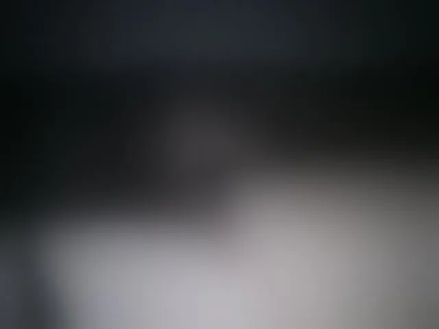 Live sex webcam photo for Andellus #291321727
