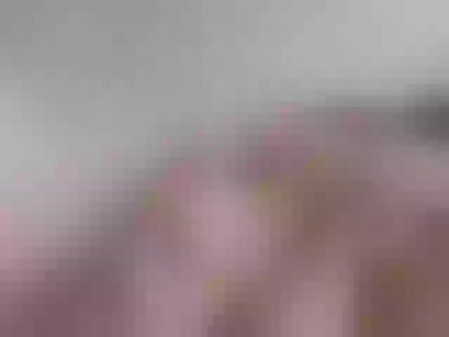 Live sex webcam photo for Andra046 #273577616