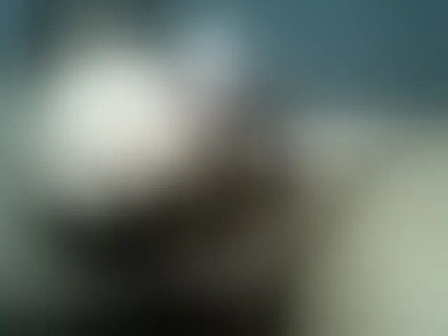 Live sex webcam photo for Andre4334 #290280659