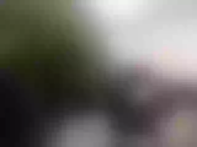Live sex webcam photo for Andrei2409199 #292214220