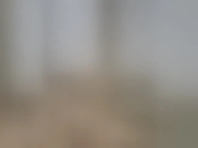 Live sex webcam photo for Anesteishen #292788121