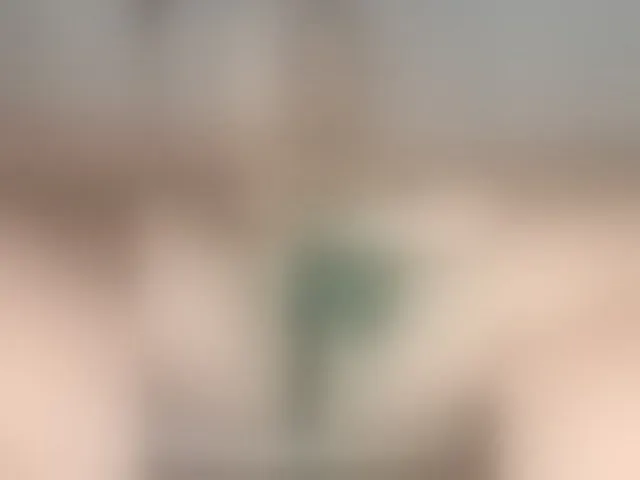 Live sex webcam photo for Anesteishen #293834237