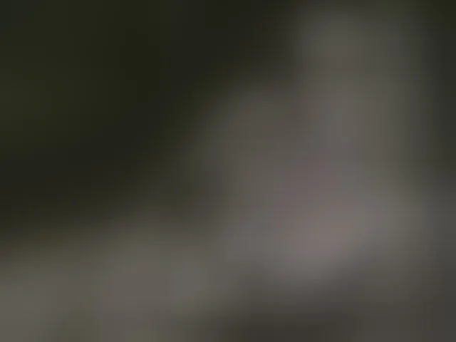 Live sex webcam photo for AngelCumsxxx #293132609