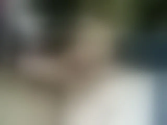 Live sex webcam photo for AngelRelaxa #291648850