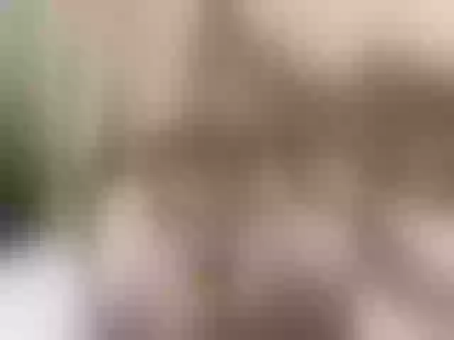 Live sex webcam photo for Angela-Rosa #275707270
