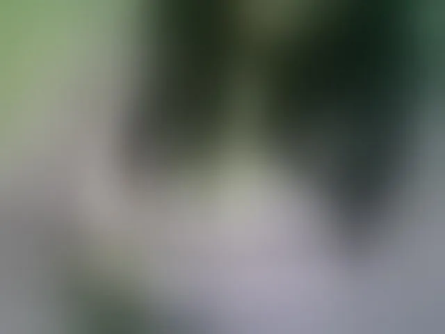 Live sex webcam photo for Angelahsexy #293750693