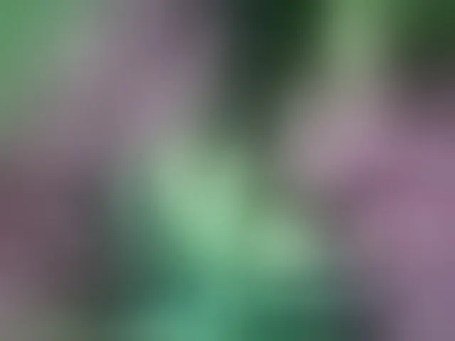 Live sex webcam photo for Angelahsexy #293754887