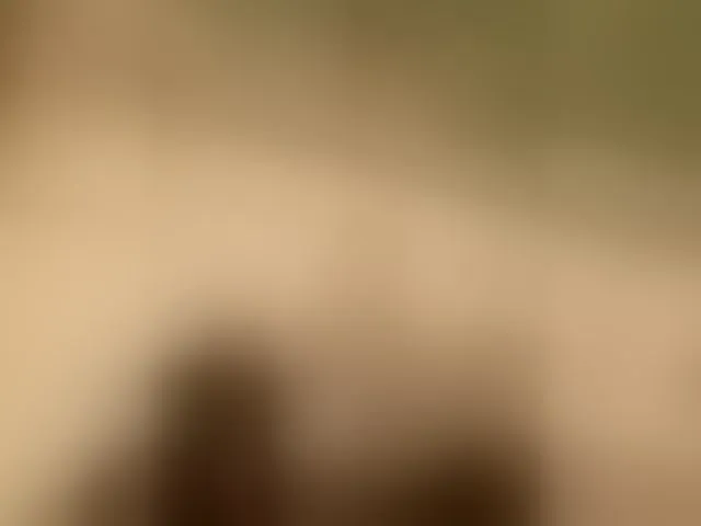 Live sex webcam photo for Angelbs1 #293143389