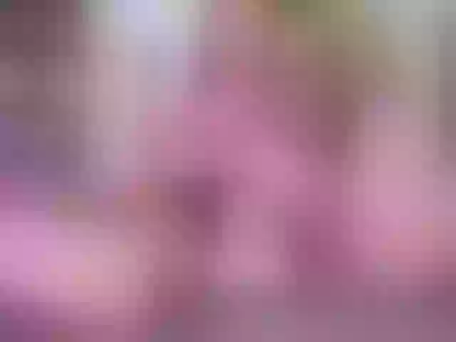Live sex webcam photo for Angelella #291501547