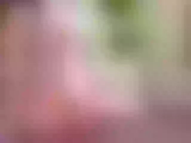 Live sex webcam photo for Angelella #291648820