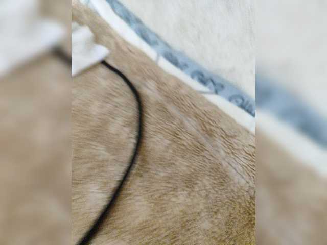 Live sex webcam photo for Angelia22 #276627791