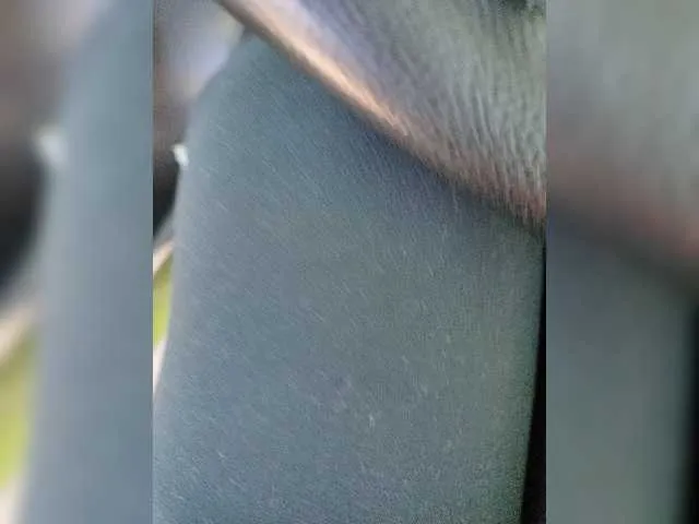 Live sex webcam photo for Angelia22 #277998049