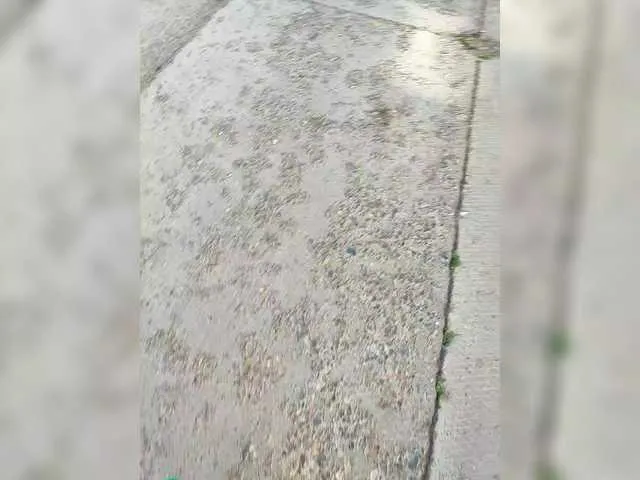 Live sex webcam photo for Angelia22 #288794689