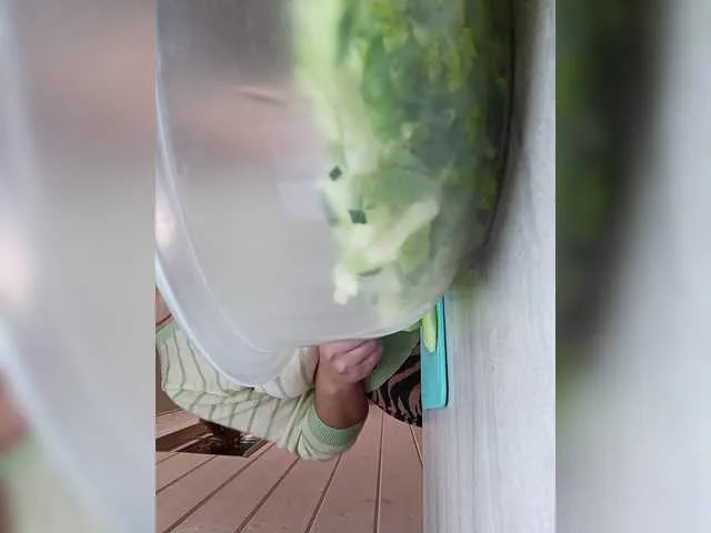 Live sex webcam photo for Angelia22 #291537456