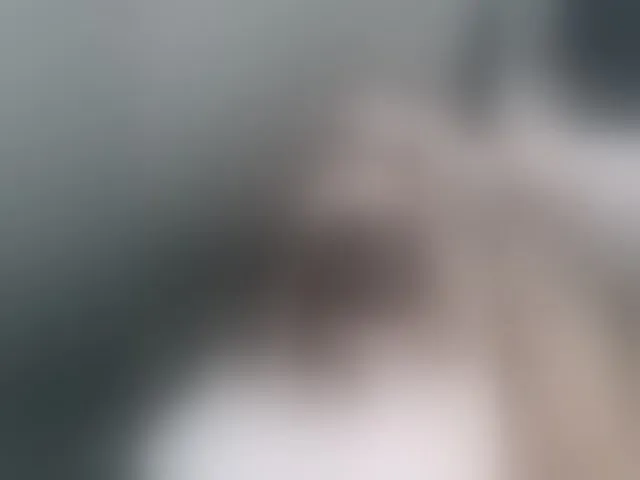 Live sex webcam photo for Angelia22 #293379253