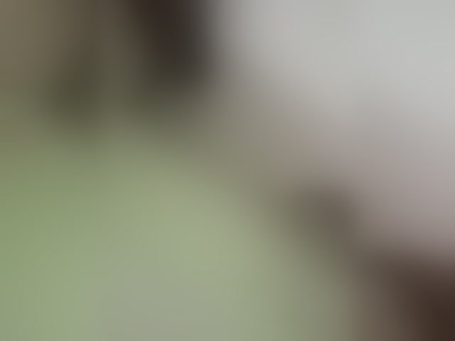 Live sex webcam photo for Angelia22 #294040391