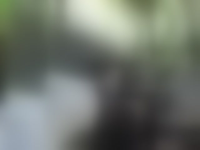 Live sex webcam photo for Angelia22 #294304121