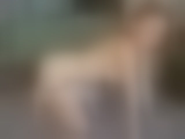 Live sex webcam photo for AngelicFenix #293954543