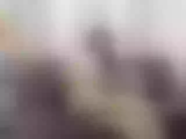 Live sex webcam photo for AngelicaRoberts #275915071